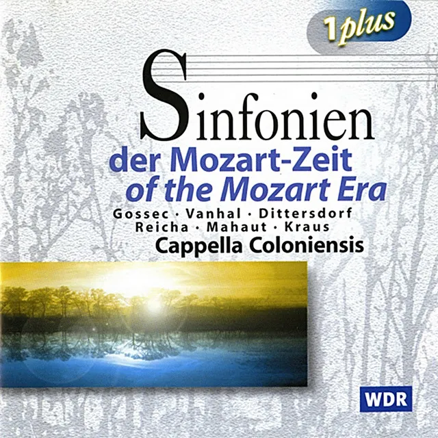 Symphony in E-Flat Major, Op. 41: I. Largo - Allegro spiritoso