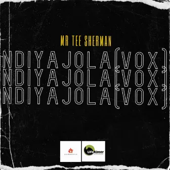 Ndiyajola (Vox Mix) by Mr Tee Sherman