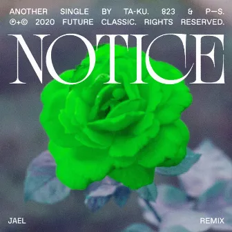 Notice (JAEL Remix) by JAEL