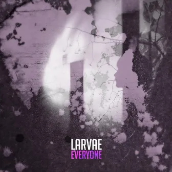 Everyone by Larvae