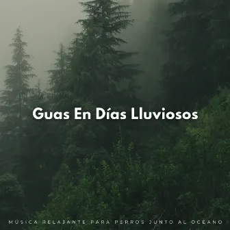 Guas En Días Lluviosos: Música Relajante Para Perros Junto Al Océano by Lluvia de Berlín