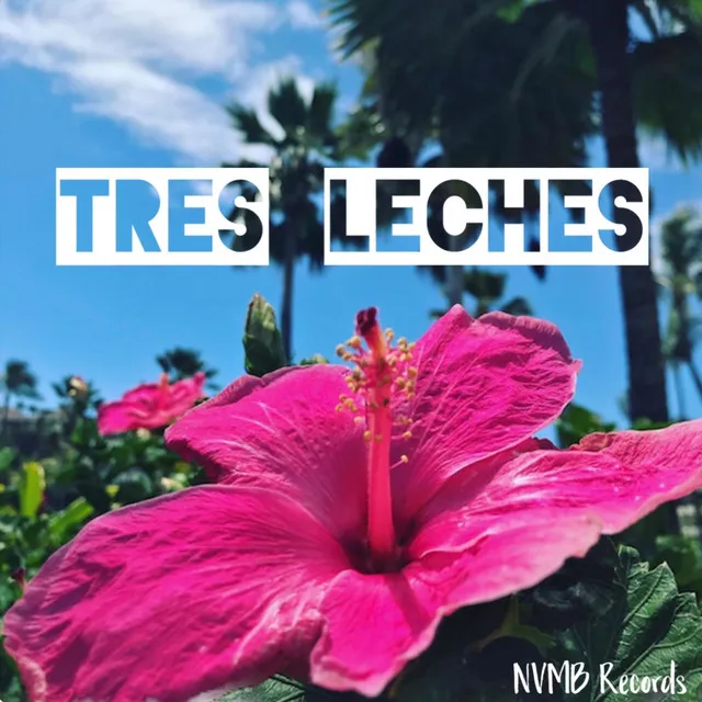 Tres Leches