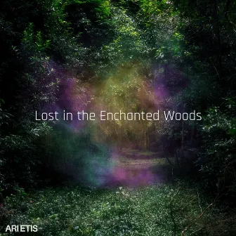 Lost in the Enchanted Woods by Ari Etis