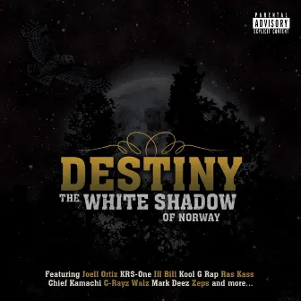 Destiny by The White Shadow