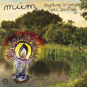 Sing Along To Songs You Don't Know by múm