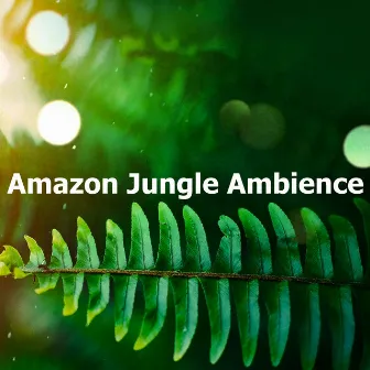 Amazon Jungle Ambience by Jungleur