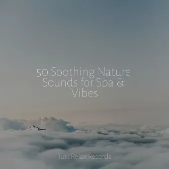 50 Soothing Nature Sounds for Spa & Vibes by Sleepy Night Music