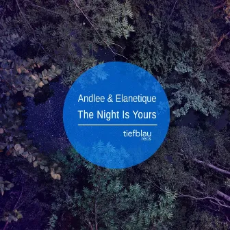 The Night Is Yours by Andlee