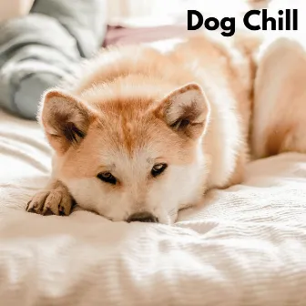 Dog Chill (Loopable, No Fade) by Musique De Chien