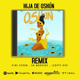 HIJA DE OSHUN (KING DYRON & LEDYFF DVD Remix) by Unknown Artist