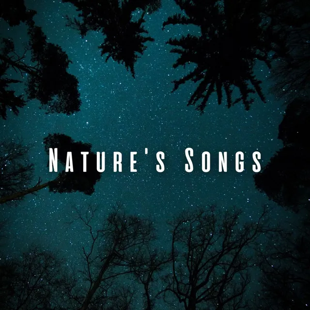 Nature's Songs: Peaceful Sleep with Cicada Sounds