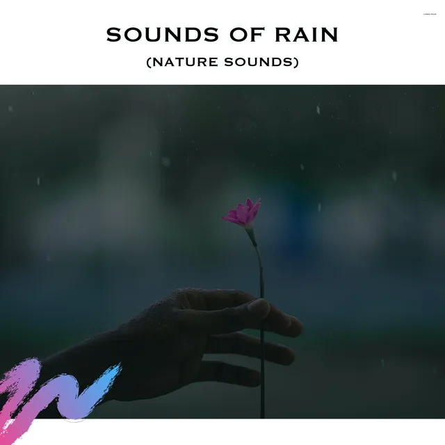 Soothing Rain Sounds (Loopable)