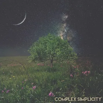 Complex Simplicity by Kyle Bent