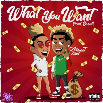 What You Want by Aspect Zavi