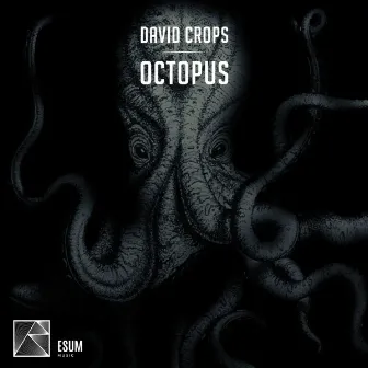 Octopus by David Crops