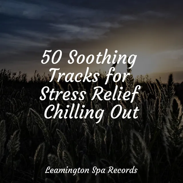 50 Soothing Tracks for Stress Relief Chilling Out