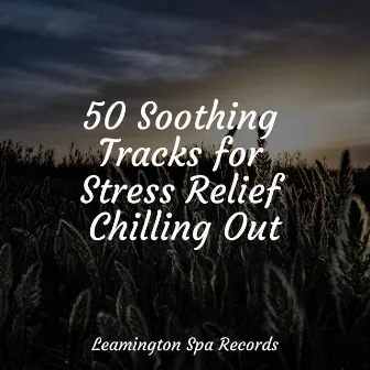 50 Soothing Tracks for Stress Relief Chilling Out by The Relaxation Principle