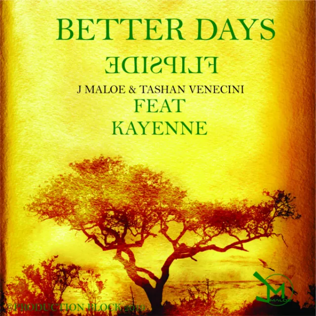 BETTER DAYS - FLIPSIDE REMIX