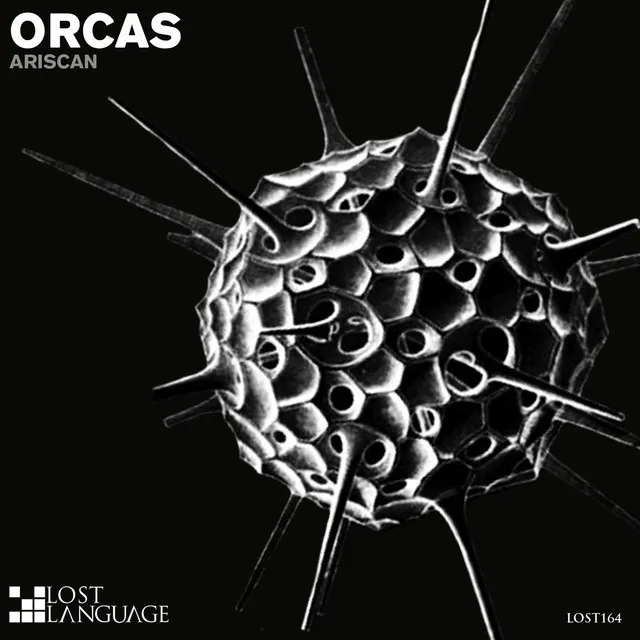 Orcas - Simon Bostock Radio Edit