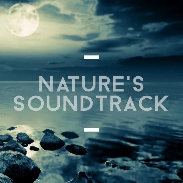 Nature's Soundtrack