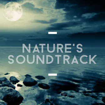 Nature's Soundtrack by Nature's Mystic Moods