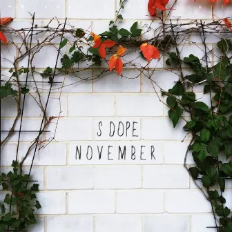 November by S Dope