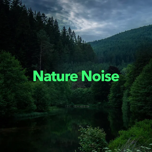 Nature Sounds