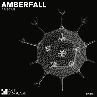 Amberfall by Ariscan