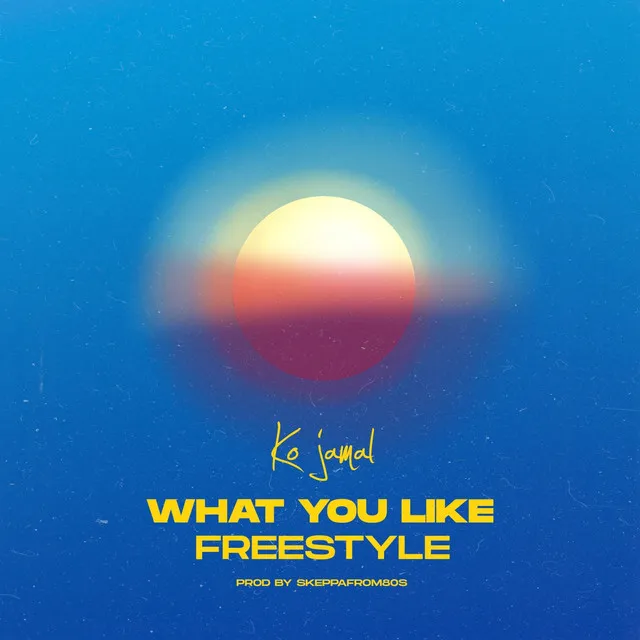 What You Like Freestyle