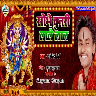 Shobhe Chunari Lale Lal by Dharmendra Dhairya