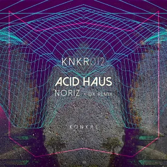 Acid Haus by NoriZ