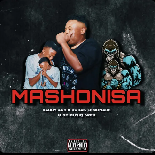 Mashonisa