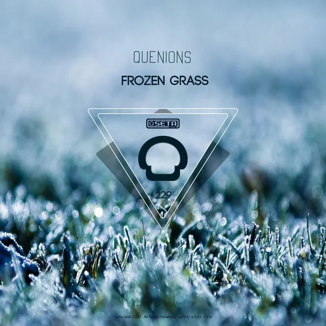 Frozen Grass