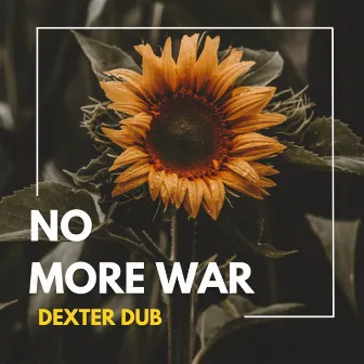 No More War by Dexter Dub