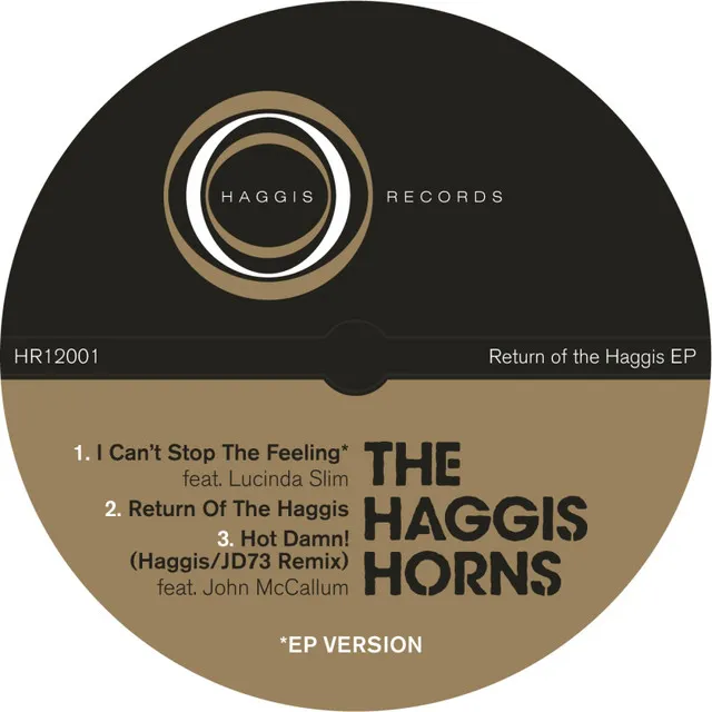 Hot Damn! (feat. John McCallum) - Haggis/JD73 Remix