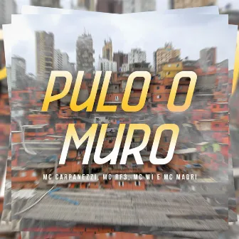 Pulo o Muro by MC Madri