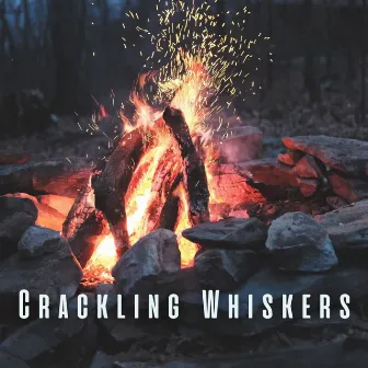 Crackling Whiskers: Cat's Contentment with Serene Bonfire ASMR by Ocean Vacation