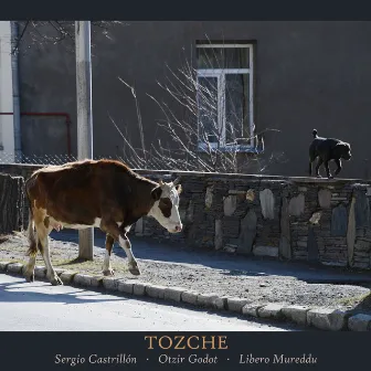 Tozche by Libero Mureddu