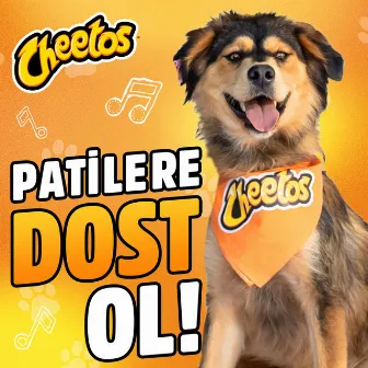 Dost by Cheetos