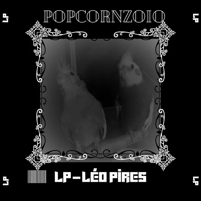 Popcorn Zoio