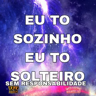 Eu Tô Sozinho Eu Tô Solteiro Sem Responsabilidade (Slowed) by Mc 2T