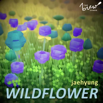 Wildflower (@jaehyung Original) by The Brew Canoe