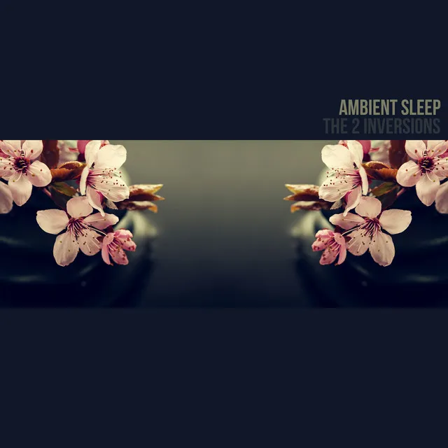 Ambient Sleep