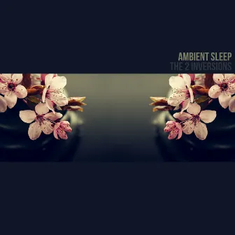 Ambient Sleep by The 2 Inversions