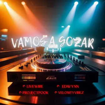 Vamos A Gozar by Project Pook