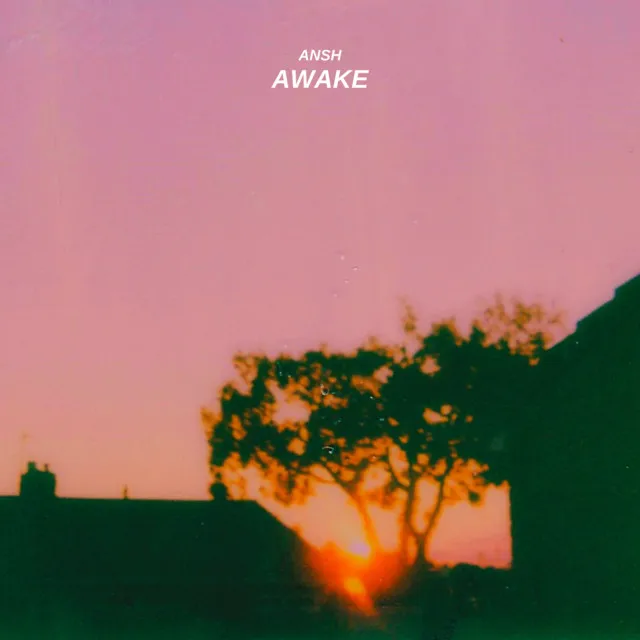 Awake