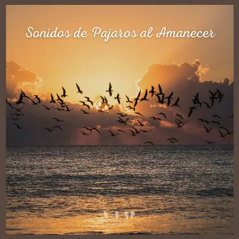 Sonidos de Pajaros al Amanecer by Sonidos De Pajaros