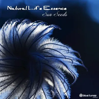 Sun Seed by Natural Life Essence