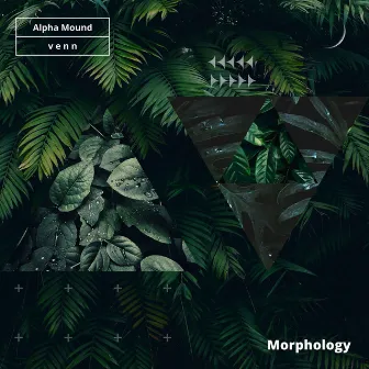 Morphology by Alpha Mound