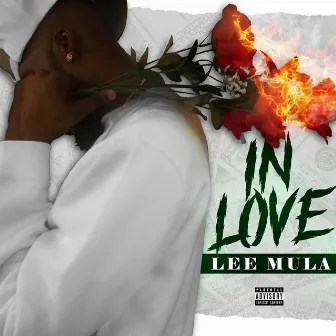 In Love by Lee Mula